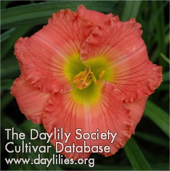 Gifts of Spring AHS image