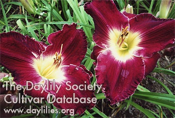 Larry E. Miller AHS image