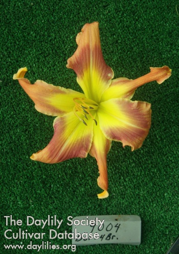 Topguns Sudden Impact AHS image