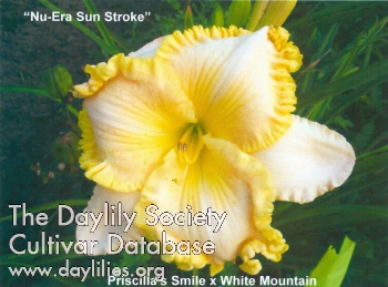 Nu-Era Sun Stroke AHS image