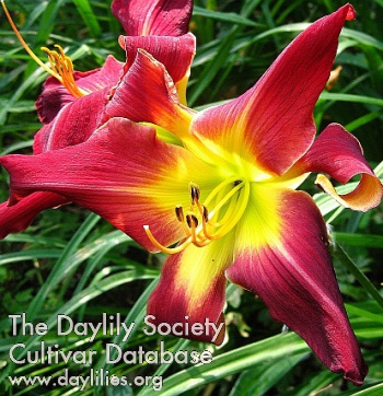 Spirit of the Garden AHS image