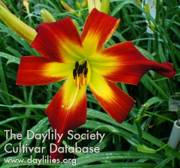 Discover Heavenly Gardens AHS image