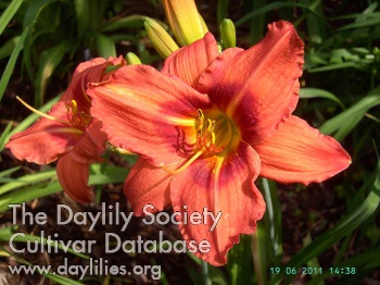 Christel Schueler AHS image