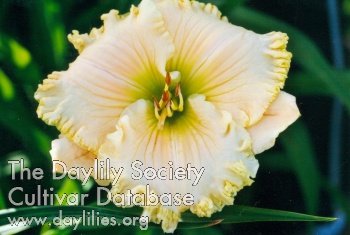 Renate Leitmeyer AHS image