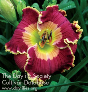 Master's Approval AHS image