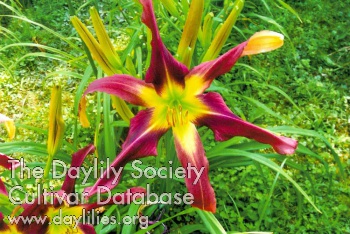 Sir Arthur AHS image
