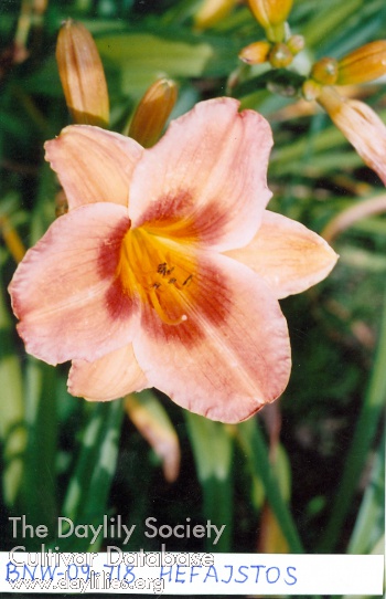 Hefajstos AHS image