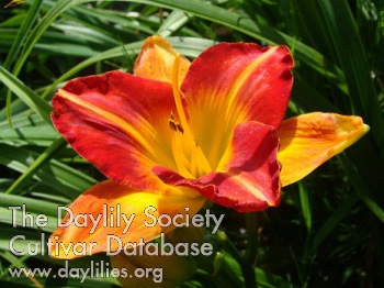 Jack Help Me AHS image