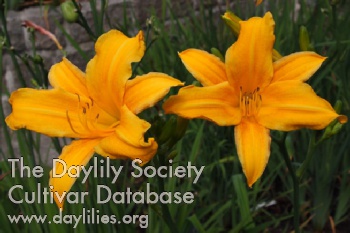Septembergruss AHS image