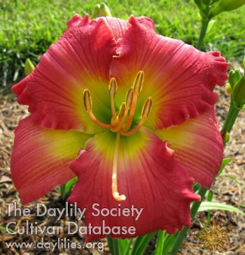 Sunny Acres Indelible Impression AHS image