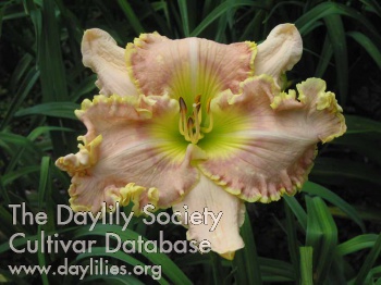 Trumpets of Glory AHS image