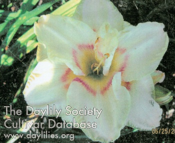 Canoochee Festival AHS image