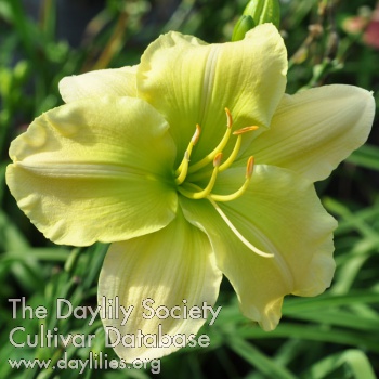 Green Keeper AHS image