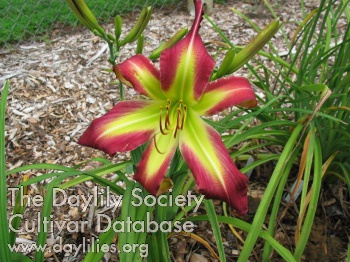 Devil's Marbleyard AHS image