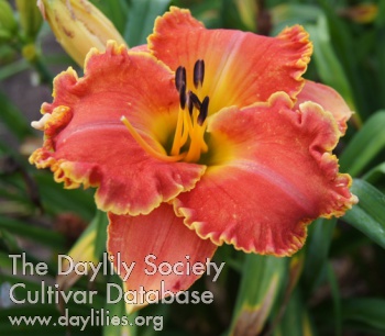Rewards of Spring AHS image