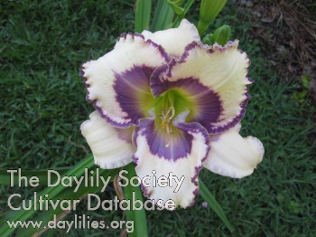 Abilene Don't Cry Blue Eyes AHS image