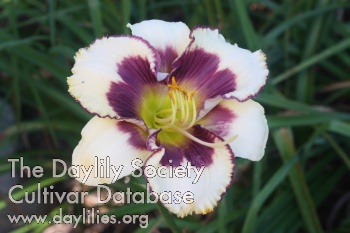 Garden Rhapsody AHS image