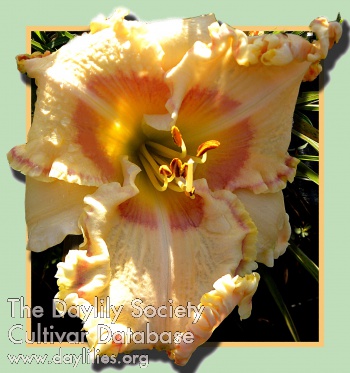 Easterly Breeze AHS image