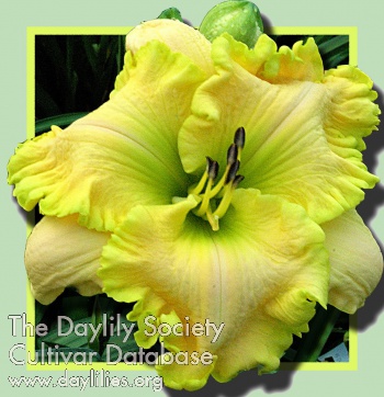Donnie Kaye's Smile AHS image