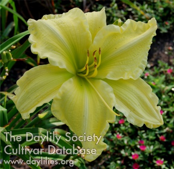 Southern Affairs AHS image