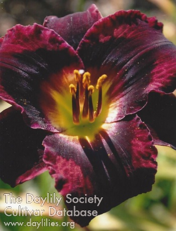 Fertile Eyes AHS image