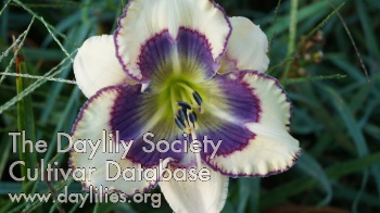 Yutsie AHS image