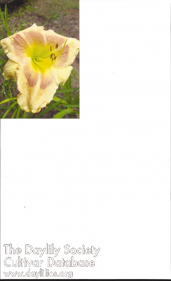 Colorado Sofie AHS image