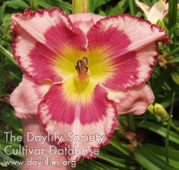 The Fires of Aries AHS image