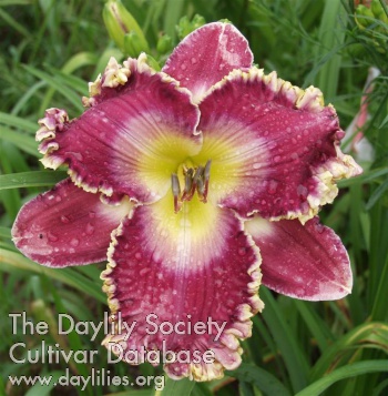 Magic and Miracles AHS image