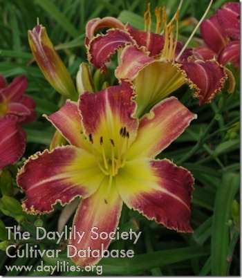 Raspberry Frit AHS image