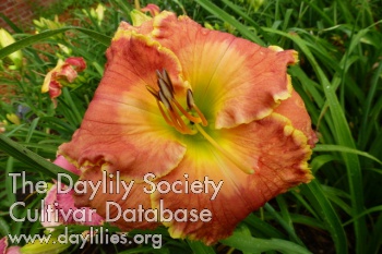 Doc and Gobel AHS image