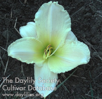 Olallie Brother Byron AHS image