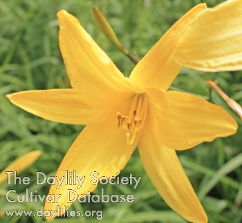 Olallie Issalee AHS image