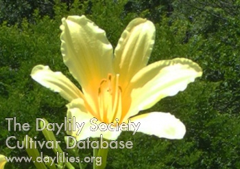 Olallie Towers of EisenKramer AHS image