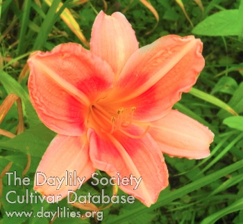 Olallie Zachary George AHS image