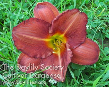 Olallie Zoe Josephine AHS image