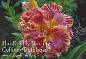 Jolie Portageoise