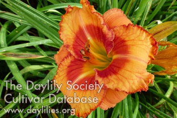 Yukon Delta AHS image