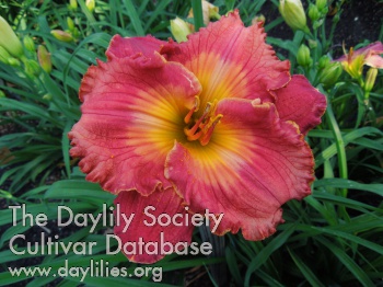 Ruby Madelin AHS image