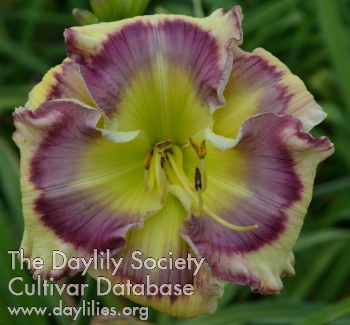 Fanciful Folly AHS image