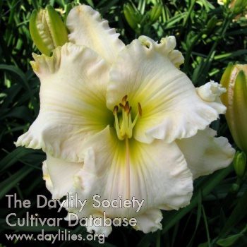 Browns Ferry Elegance AHS image