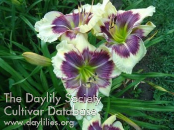 Feanorian Lamps AHS image