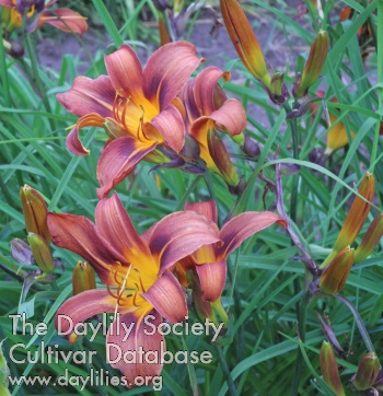Olallie Maureen AHS image