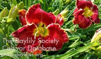 Lightning Edge AHS image