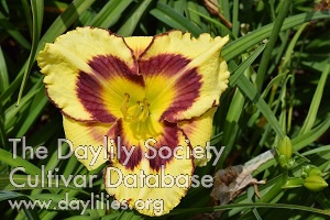 Booger Bottom Kisses