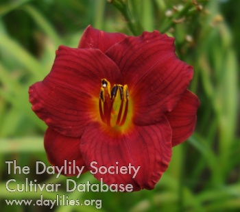 Olallie Barbara Jane AHS image