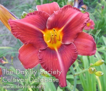 Olallie Marilyn Ayres AHS image