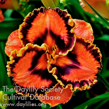 Glowing Flame AHS image