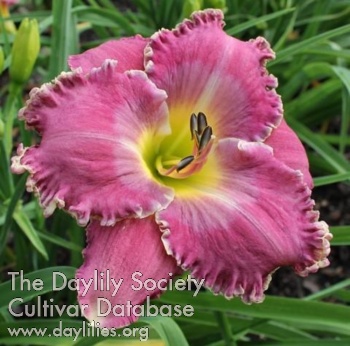 Garden Harmony AHS image