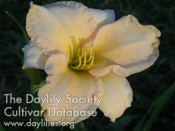 Clear Dawn AHS image